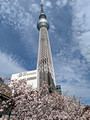 Tokyo Skytree Tokyo, Japan 23-3L-_3076