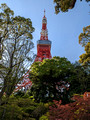 Tokyo Tower Tokyo, Japan 23-3L-_3136