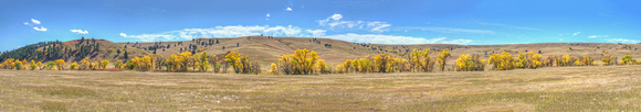 Wildlife Loop Custer State Park Panorama 17-10-01935