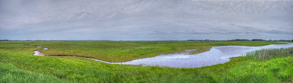 Crex Meadows Panorama 18-6-08791a