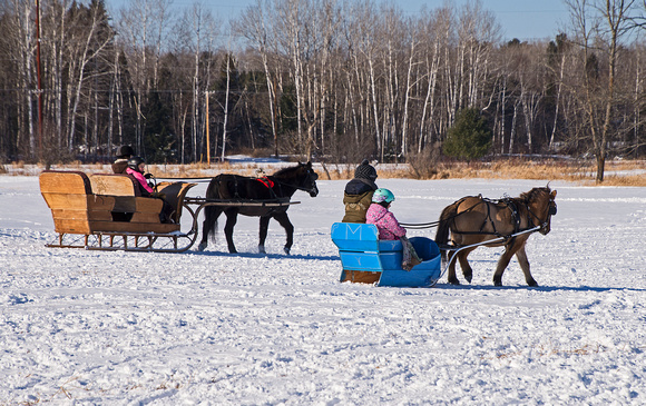 Northwoods Harness Club Sleigh and Cutter Rally Ashland 17-1-2273