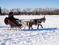 Northwoods Harness Club Sleigh and Cutter Rally Ashland 17-1-2276