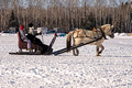Northwoods Harness Club Sleigh and Cutter Rally Ashland  17-1-2312