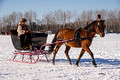 Northwoods Harness Club Sleigh and Cutter Rally Ashland  17-1-2319