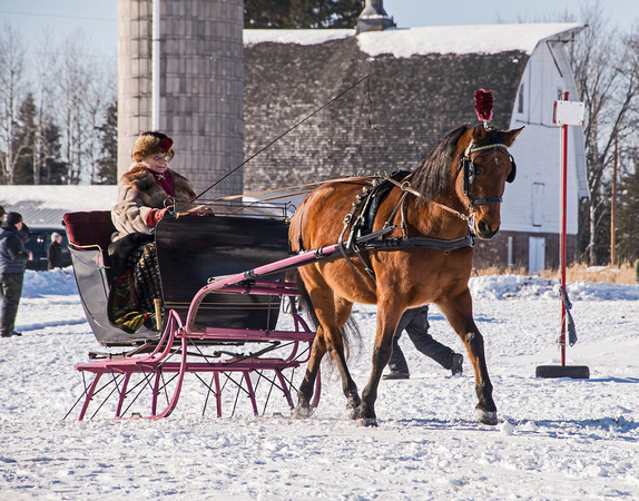 Northwoods Harness Club Sleigh and Cutter Rally Ashland 17-1-2296