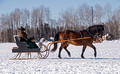 Northwoods Harness Club Sleigh and Cutter Rally Ashland 17-1-2263