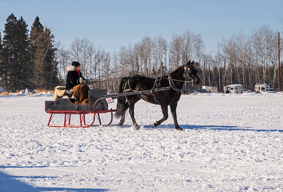 Northwoods Harness Club Sleigh and Cutter Rally Ashland  17-1-2336