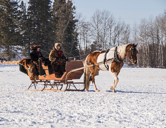 Northwoods Harness Club Sleigh and Cutter Rally Ashland 17-1-2330