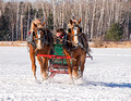 Northwoods Harness Club Sleigh and Cutter Rally Ashland 17-1-2302