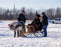 Northwoods Harness Club Sleigh and Cutter Rally Ashland 17-1-2265