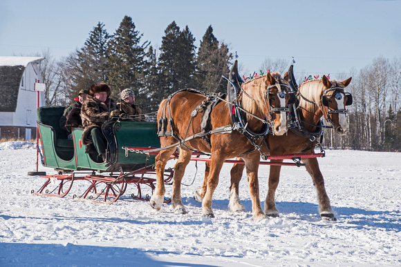 Northwoods Harness Club Sleigh and Cutter Rally Ashland  17-1-2282