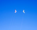Kites on Ice Festival Buffalo Minnesota 20-2-01710