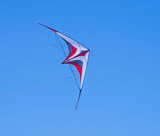 Kites on Ice Festival Buffalo Minnesota 20-2-01703