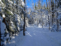 ABR Ski Trails 18-1P-_0139a