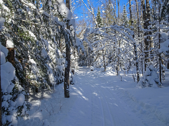 ABR Ski Trails 18-1P-_0139a