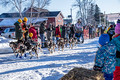 CopperDog 150 Sled Dog Race 2020