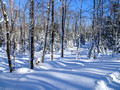 ABR Ski Trails 18-1P-_0136a