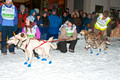 CopperDog 150 Sled Dog Race 2013