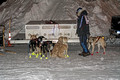 CopperDog 150 Sled Dog Race 14-3-_0502
