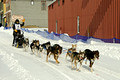 CopperDog 150 Sled Dog Race 12-3-_0195