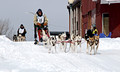 CopperDog 150 Sled Dog Race 12-3-_0209