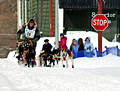 CopperDog 150 Sled Dog Race 12-3-_0218