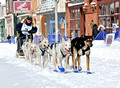 CopperDog 150 Sled Dog Race
