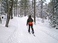 Keweenaw Mountain Lodge Ski Trails 11-1-_2150a