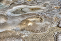Spasmodic Geyser Upper Geyser Basin Yellowstone National Park 14-9-_2380