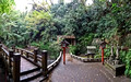 Chigo Daishi Mieido Shrine Todoroki Valley Park Tokyo Japan 19-11P-_0486
