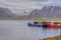 Harbor Tingeyri Iceland 16-6-_5494