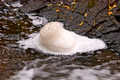 Foam - Silver River Falls 09-18- 425