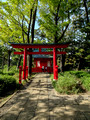 Itsukushima Shrine Senzokuike park Tokyo Japan 19-11P-_2091