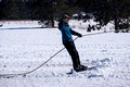 Spurs & Skis Skijoring Stampede 20-3-00010