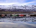 Harbor Seydisfjordur Iceland 16-6-_2509