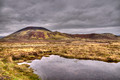 View from Highway 54 Snaefellsnes peninsula near Bjarnarhofn Iceland  16-6-_4371