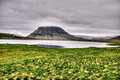 Kirkjufell mountain Grundarfjörður Iceland 16-6-_4453