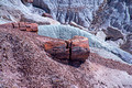 Blue Mesa Petrified Forest National Park 18-4-01261