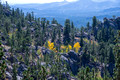 Needles Highway Custer State Park 18-9-01342