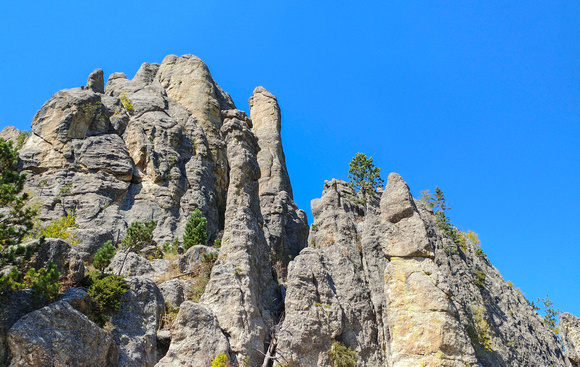 Needles Highway Custer State Park 18-9L-_0338