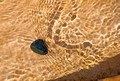 Mosquito Beach Pictured Rocks National Lakeshore 17-10-05410