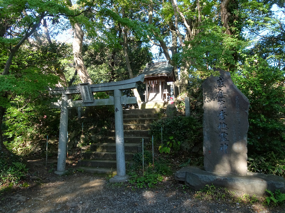 Mount Takao Hachiōji Tokyo Japan 19-11P-_1790