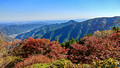 Mount Mitake Tokyo Japan 19-11L-_4492