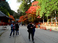Jogyodo Nikko UNESCO World Heritage Site Shrines and Temples Nikko Japan 19-11P-_2717