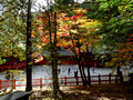 Jogyodo Nikko UNESCO World Heritage Site Shrines and Temples Nikko Japan 19-11P-_2715