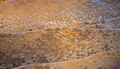 Mosquito Beach Pictured Rocks National Lakeshore 17-10-05378