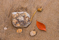Mosquito Beach Pictured Rocks National Lakeshore 17-10-05382