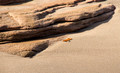 Mosquito Beach Pictured Rocks National Lakeshore 17-10-05449