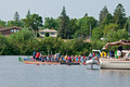 Lake Superior Dragon Boat Festival 13-8-_8498