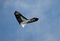Kiwanis Family Kite Fly Duluth Minnesota 16-9-1140